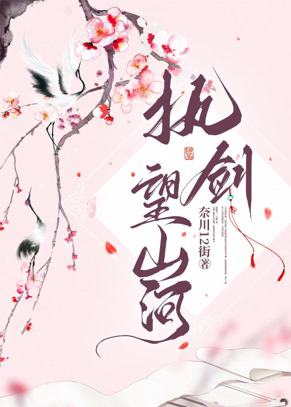 执剑望山河封面