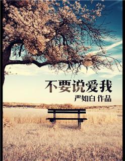 不要说爱我封面