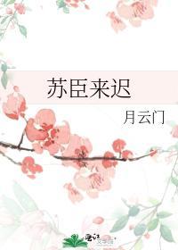 苏臣来迟封面