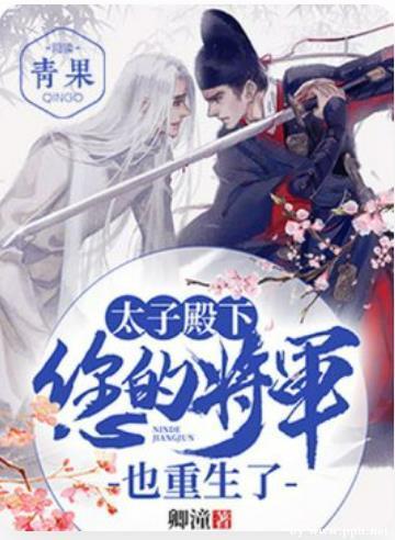 太子殿下，您的将军也重生了封面