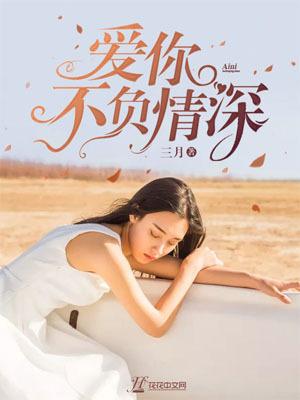 爱你不负深情封面