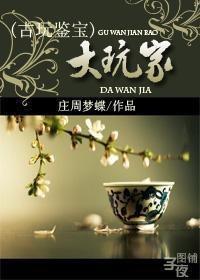 大玩家封面