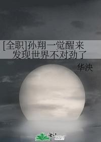[全职]孙翔一觉醒来发现世界不对劲了封面