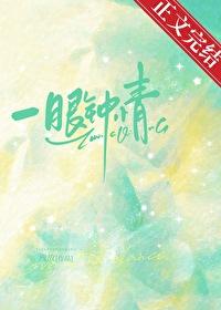 一眼钟情封面