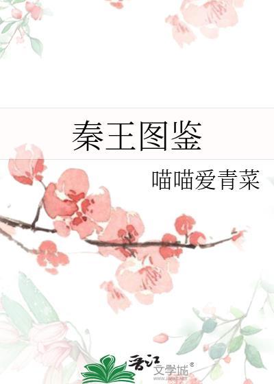 秦王图鉴封面