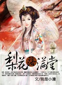 梨花落满堂封面