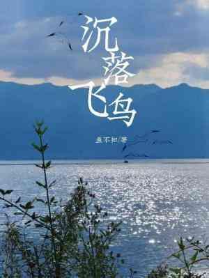 沈落飞鸟封面
