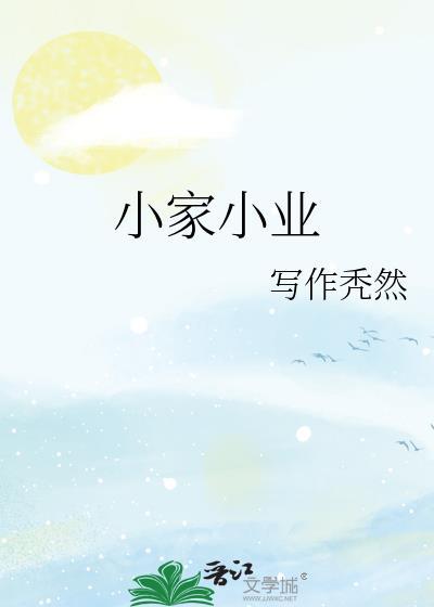 小家小业封面