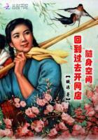 带着网店回六零封面