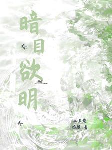 暗目欲明封面