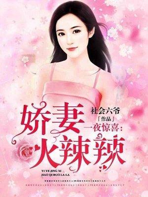 一夜惊喜：娇妻火辣辣封面