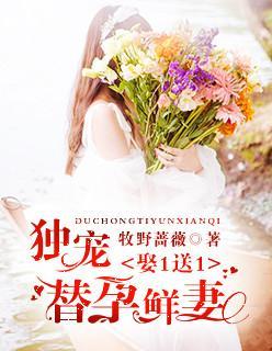娶1送1：独宠替孕鲜妻封面