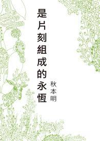 是片刻组成的永恒封面