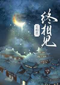 若相思终相见封面