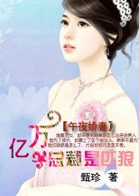 午夜娇妻：亿万老公是匹狼封面
