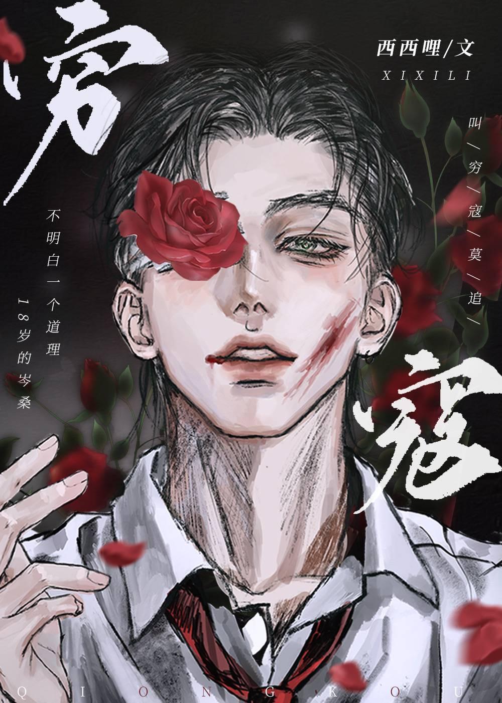 穷寇封面