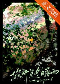 你听见冬日落雨封面
