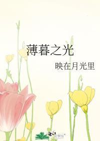 薄暮之光封面