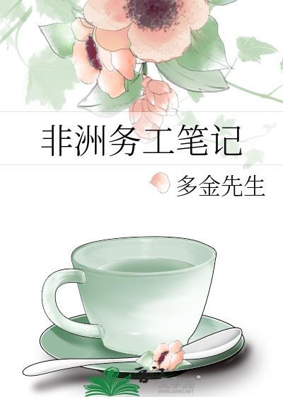 非洲务工笔记封面