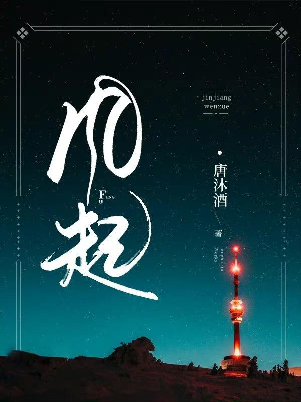 风起封面