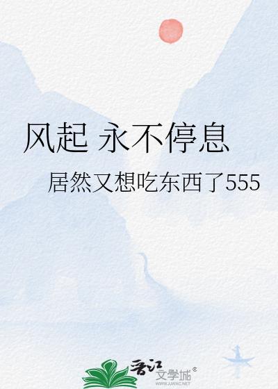 风起 永不停息封面