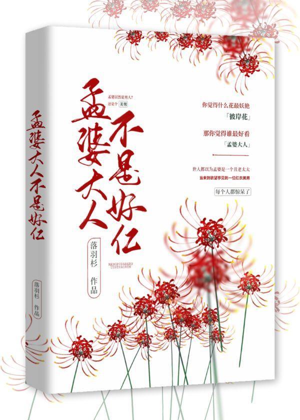 孟婆大人不是好仁封面