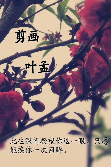 剪画封面
