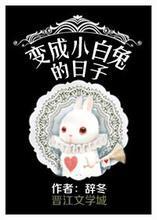 变成小白兔的日子封面