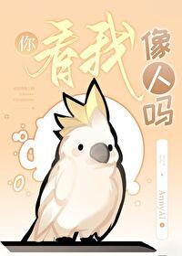你看我像人吗封面