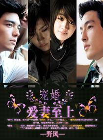 宠婚：爱妻至上封面