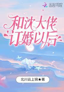 和沈大佬订婚以后封面