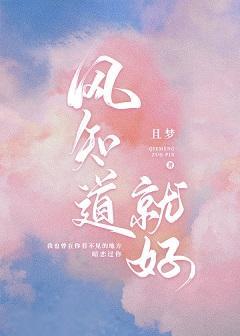 风知道就好封面