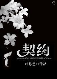 契约封面