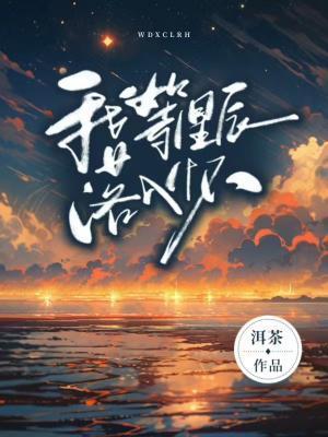 我等星辰落入怀封面