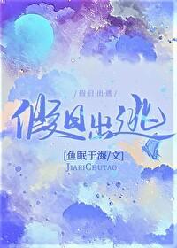 假日出逃封面