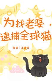 为找老婆，逮捕全球猫封面