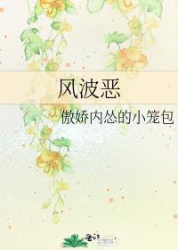 风波恶封面