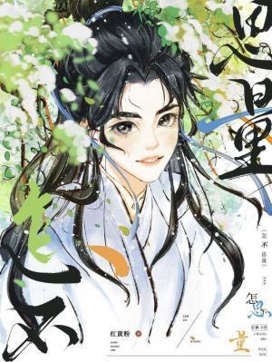 怎不思量封面