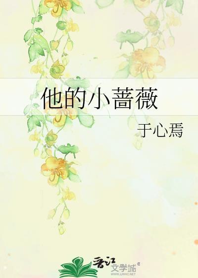 他的小蔷薇封面