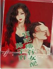 官配哪有女配路子野封面