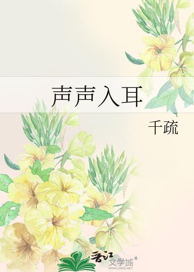 声声入耳封面