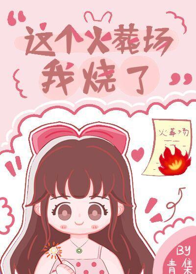 这个火葬场我烧了封面