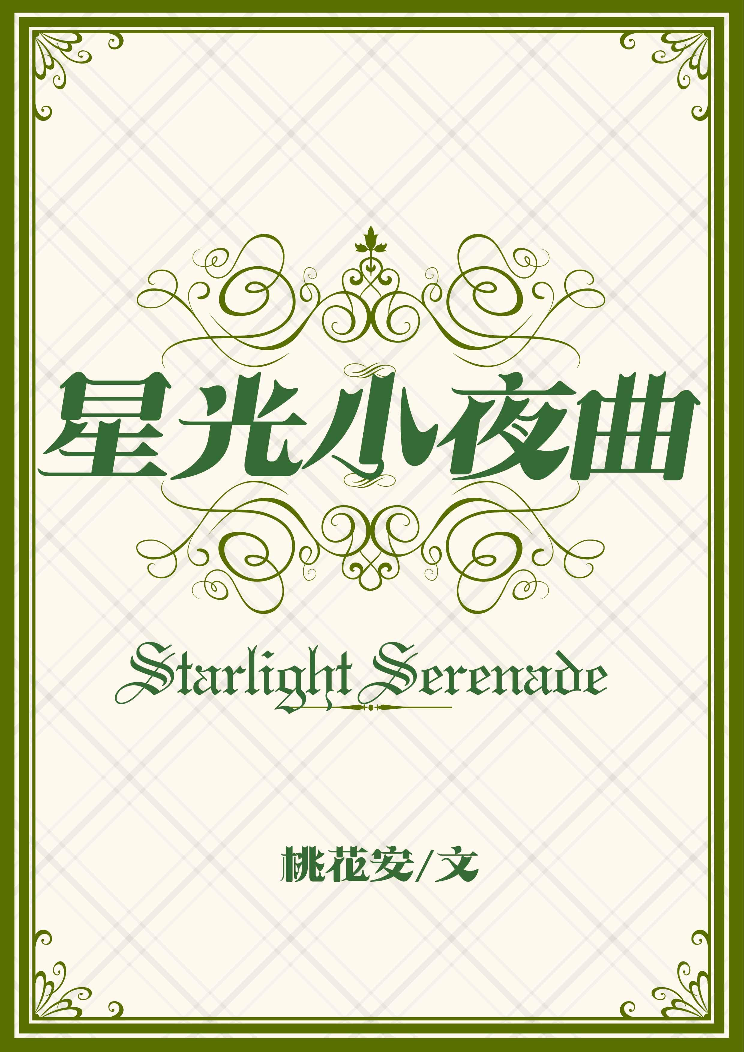 星光小夜曲封面
