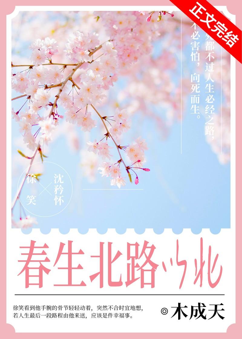 春生北路以北封面