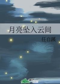 月亮坠入云间封面