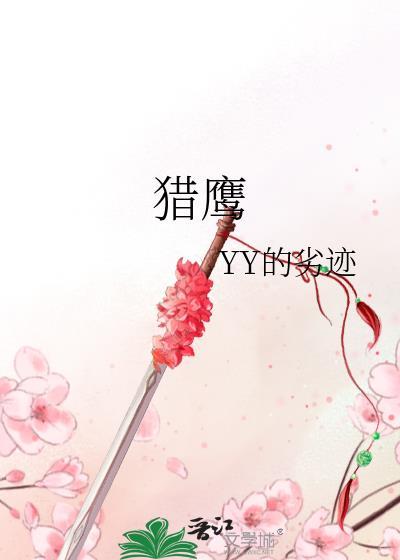 猎鹰封面