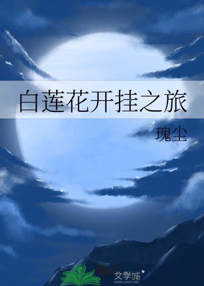 白莲花开挂之旅封面