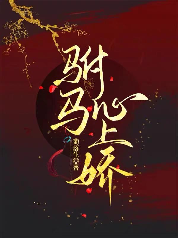 驸马心上娇封面