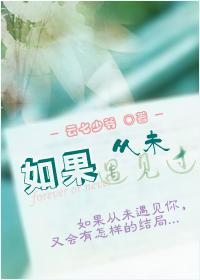 如果从未遇见过封面