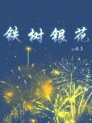 铁树银花封面